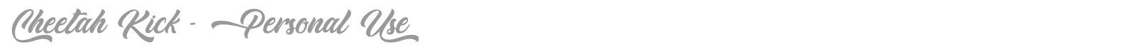 Cheetah Kick font preview